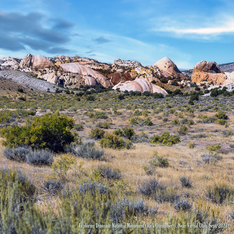 Dinosaur National Monument
E. Old Hwy 149, Utah (Near Vernal)