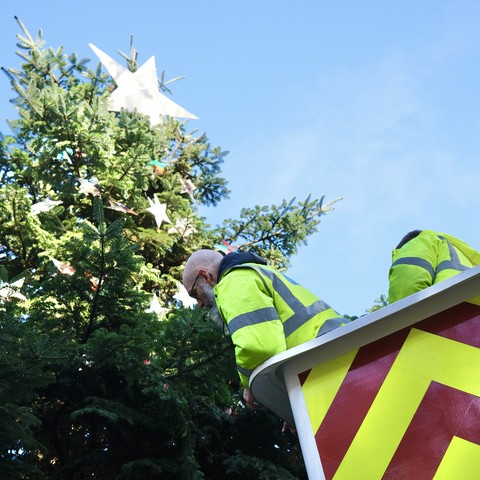 The top of a fir tree with a bright blue sky in the background. The tree has a large white star at the top and smaller stars lower down. The edge of the bucket of a cherry picker is in frame. Two people in high viz jackets can be seen in the bucket. One clearly sports my bald head and large grey beard.