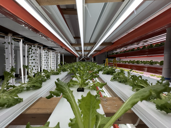 Panoramic visual of the Grow Space Kenosha Vertical Farm
