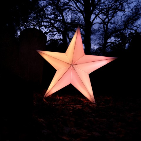 A brightly illuminated red-orange star stands out against the dark ground. The star shines light onto scattered leaves below it. Trees are silhouetted against the dim twilight-blue sky.