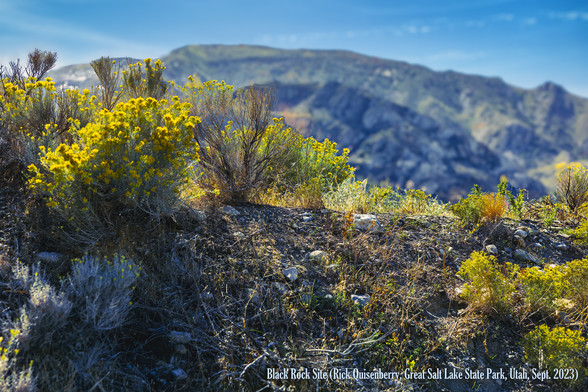 Black Rock Site
(Great Salt Lake State Park, Utah)