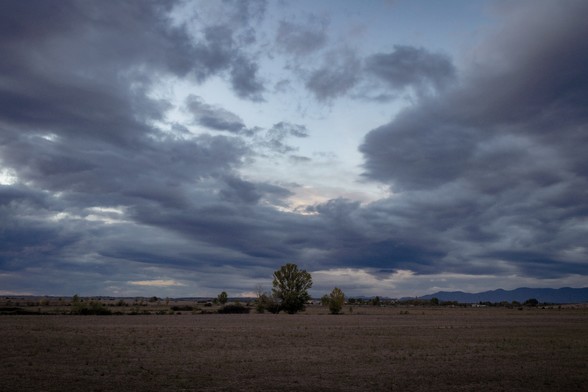 Se puede ver un campo agreste con un árbol en el centro y en la parte superior, ocupando gran parte del encuadre, bastantes nubes al atardecer. | You can see a field with a tree in the centre and above it, a lot of clouds with evening light.
