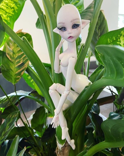 A ball jointed fairy doll sitting on a plant… she’s undressed, so one can see how she poses. She also got some boobs and ass, but I will leave that to my fellow blind bats imagination ☺️ 1 of 2