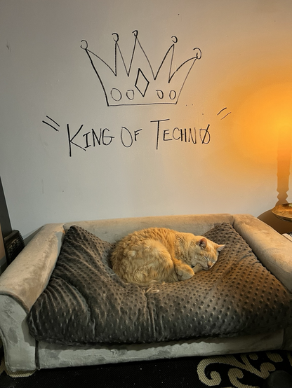 A cat sleeps on a dog bed under the words King of Techno 