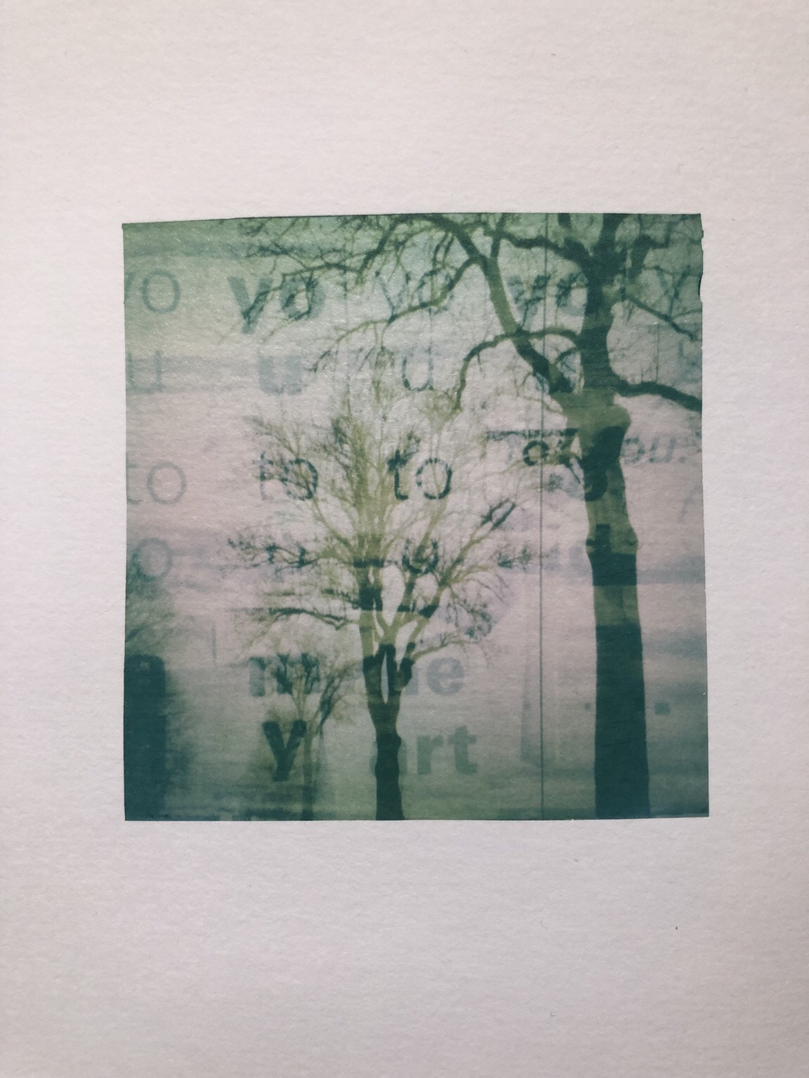 Double exposure photo : a perspective of three trees silhouettes without foliage and a background of white paper with printed letters and syllabs. Polaroid emulsion lift.