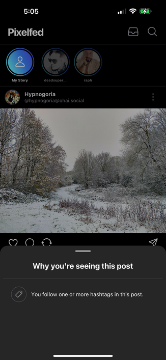 Pixelfed app with an explanation of why I'm seeing this post