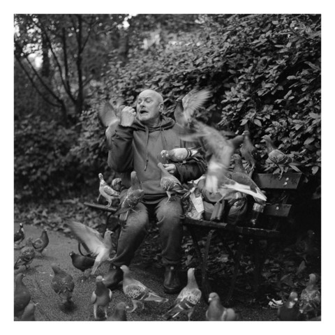 Photo of man feeding pigeons on a park bench.