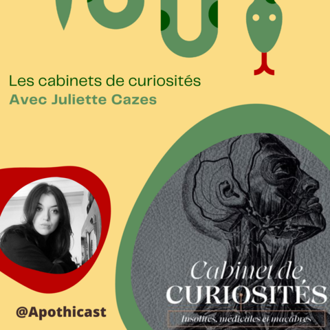 Couverture de l'épisode du podcast. Portrait de l'autrice et couverture de son ouvrage.