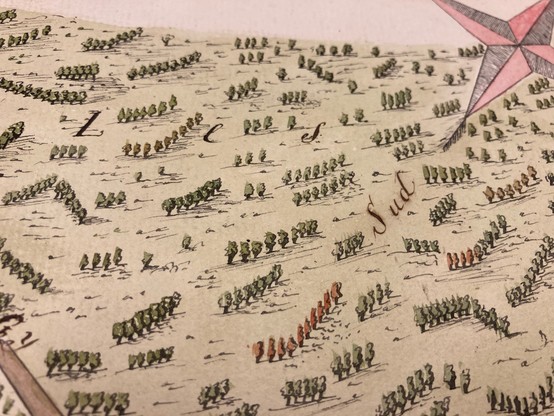 Map extract showing lots of tiny hand painted trees in small groups, with amazing detail.