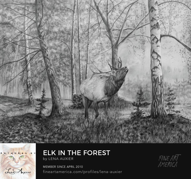 Alexandr Steshenko - The magic forest
