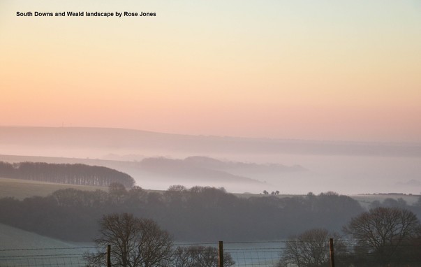 South Downs and Weald from Blackdown.  #RestoreNatureNow  in #Brighton.