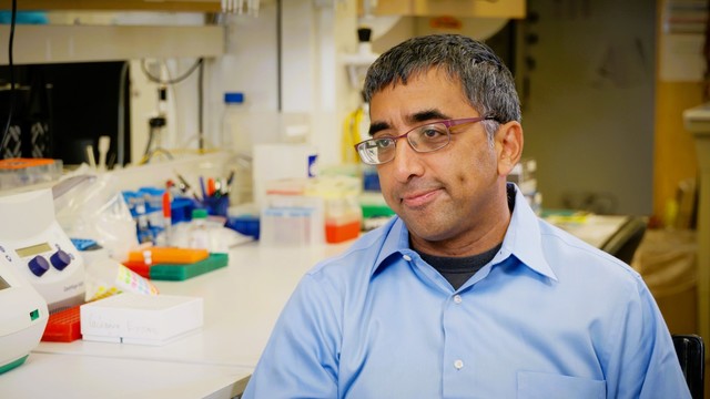 UW Medicine researcher Jay Shendure, executive director of Seattle Hub for Synthetic Biology, in his lab