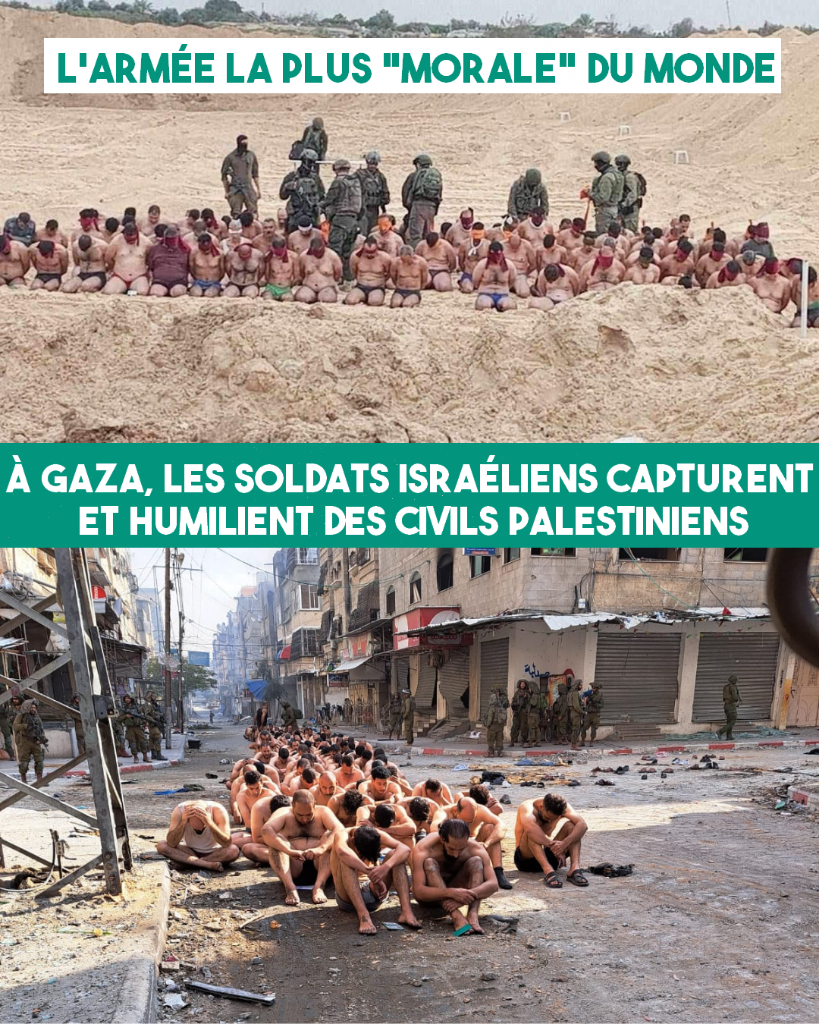 Deux photographies présentant des groupes de prisonniers palestiniens, à moitié nus, assis ou agenouillés et surveillés par des militaires israéliens