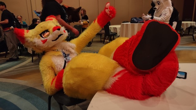 A yellow kemono fursuiter with orange accents relaxing on a chair and giving a thumbs up.