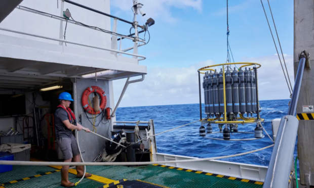 A scientist on the BATS team collecting data on the research vessel Atlantic Explorer.
Image credit: Jeff Newton