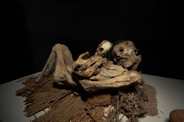 Momia encogida junto a una más pequeña.