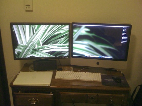A dual-monitor computer setup on a wooden desk, with a closed laptop on the left, keyboard and mouse in the center, and a desktop computer on the right. Both monitors display a plant-themed wallpaper.