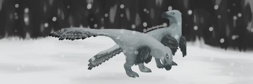 a digital painting of two imperobator antarcticus, they are feathered and gray. The one in front is bent over towards the ground, the one behind it is turning its head, looking back.