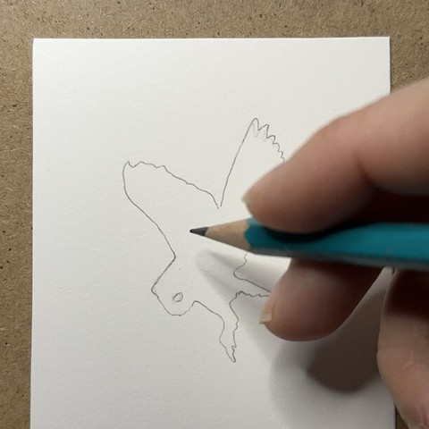 Line art of a Barn Owl silhouette. This is the very beginnings a new artwork