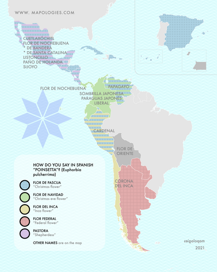 mapping the names of poinsettia in Spanish