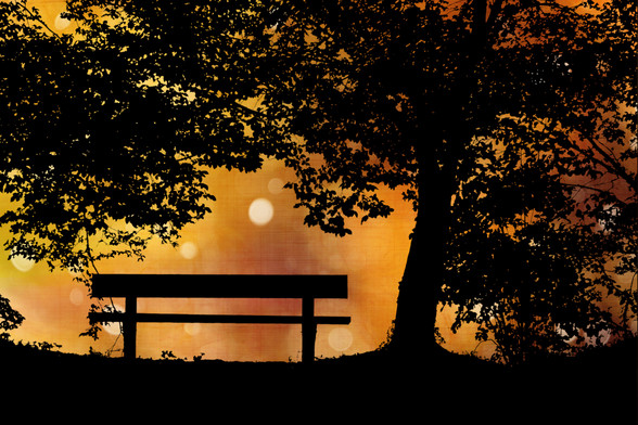 A romantic scene at sunset with a silhouetted empty park bench under a tree in the park. The sky is a magnificent golden hue with the last of the sun's rays creating an illusion of fireflies dancing in the light.