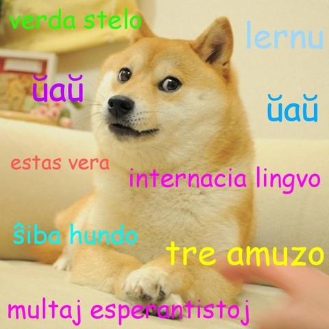 Shiba memo kun esperantaj vortoj