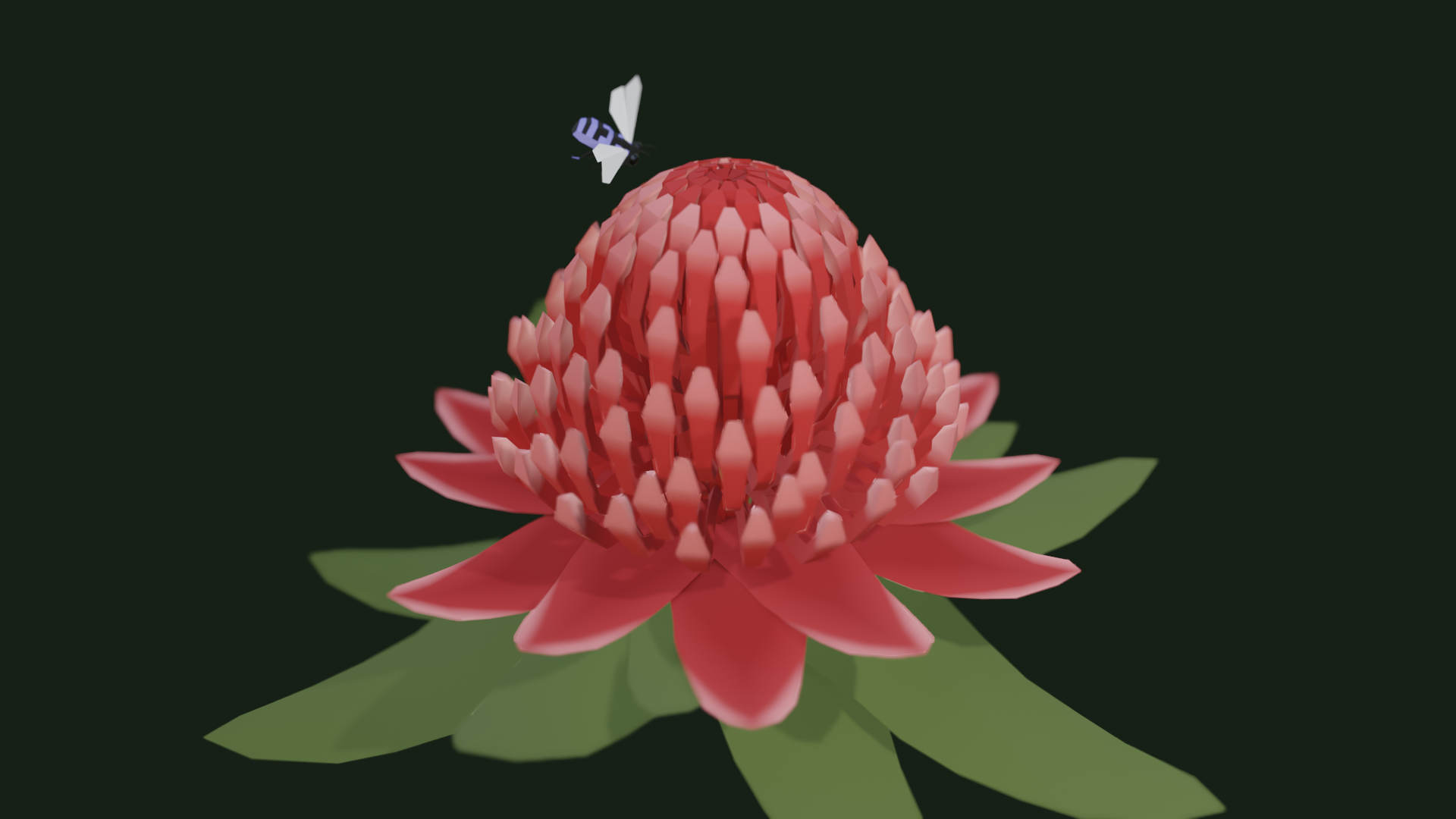 A waratah flower being visited by a neon cuckoo bee