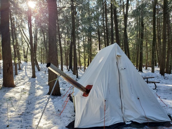 A cosy canvas hot tent, and wood stove, set up in the middle of a gorgeous forest. The sun is dappled through the trees, shining down on the forest floor and tent.