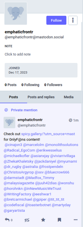 Screenshot of spam 'private mention'