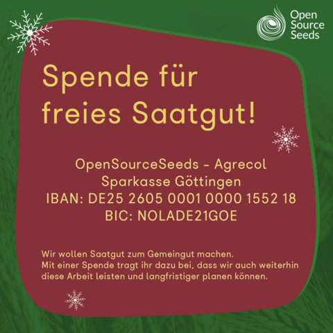 Das Bild zeigt einen dunkelgrünen Hintergrund, auf welchen ein transparentes Foto von Weizen leicht angedeutet ist. 

Oben rechts ist das Logo von OpenSourceSeeds in weiß, und üüber das Bild sind einzelne weiße Vektor-Schneeflocken zu sehen. 

In der Mitte steht auf weinrotem Hintergrund: "Spende für freies Saatgut! Wir wollen Saatgut zum Gemeingut machen. Mit einer Spende tragt ihr dazu bei, dass wir auch weiterhin diese Arbeit leisten können und langfristiger planen können." 
 