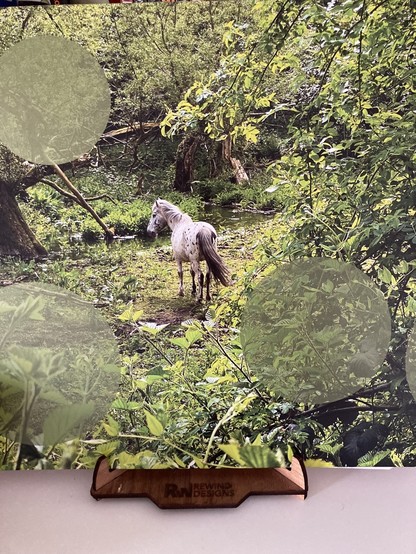 Cover of Beatless by Fila Brazillia. Cover features a white, dappled grey pony in a lush green forest clearing. The image is broken up by three translucent circles in the top left and bottom corners of the image 