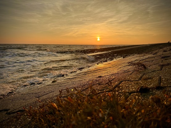 Sunset on Wilhelmshaven’s South Beach with crashing waves, reflecting sunlight and blurry plants in the foreground. 