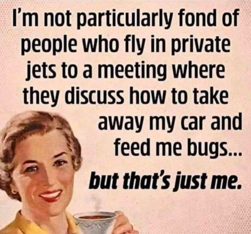A 1950's styled woman holding up a cup of coffee says:
"I'm not particularly fond of people who fly in private jets to a meeting where they discuss how to take away my car and feed me me bugs - BUT that is just me".