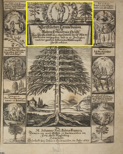 Titelblatt der Predigtsammlung "Geistlicher Tanne[n]baum, das ist Wahres Erkandtnis Christi: Von Christo selbst aus obgesetztem Zuruf Osea 14. zuerlernen vorgegeben, und in 16. Predigten nach der gantzen Historia des Mittlerambts Christi erkläret / Von M. Johanne Reß, Bibra-Franco, Dienern am wort Gottes, zu Bartensleben im Ertz-Stift Magdeburg" (VD17 3122:718276N). Auf dem Titelblatt ist u.a. zentral ein großer Tannenbaum zu sehn.