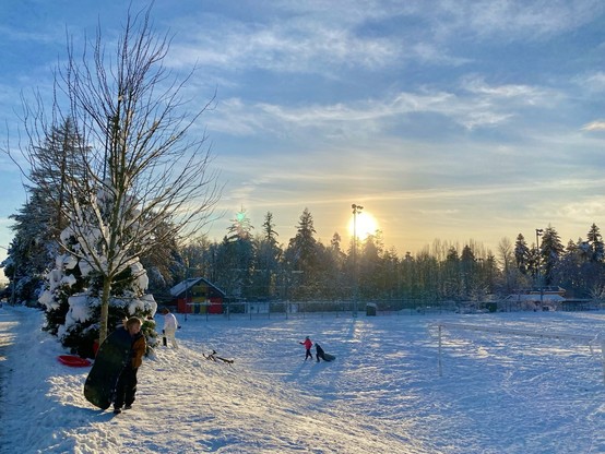 Horizontal view of a beautiful snowy day with people tobogganing on a hill with blue sky and sun shining behind trees in the distance.