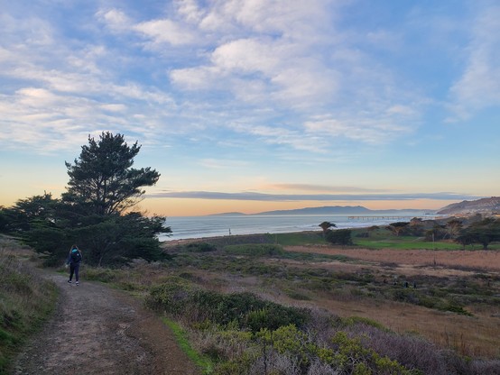 The opening shot:  One of my favourite views from the hiking trail.  Pale blue skies over the beach with scattered puffy white clouds.  A large tree is off to the left.