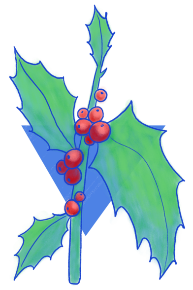 Ilustración a línea azul y mancha a color de una rama de acebo con sus hojas y frutos rojos. Detrás, aparece un triángulo equilátero azul apuntando con su vértice hacia abajo.