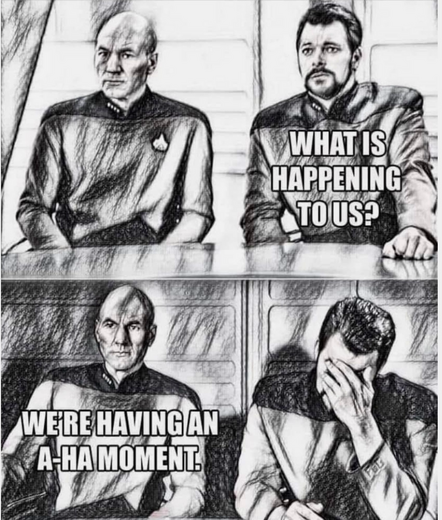 Meme: Picard and Riker sitting next to each other in a black and white pencil sketch. Riker: what is happening to us? Picard: We're having an a-ha moment. 

Riker clutches his head.