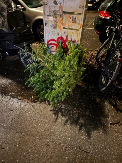 ein kleiner ungeschmückter Weihnachtsbaum liegt zwischen Fahrrädern und einem Mofa vor einem Fernmeldekasten am Strassenrand.