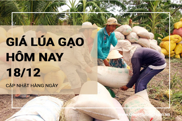 Giá lúa gạo hôm nay ngày 19/12/2023: Thị trường giao dịch bình ổn
; Mở một tab mới
Theo thông tin mới nhất từ Bộ Công Thương, giá lúa gạo hôm nay ngày 19/12/2023 tại khu vực Đồng bằng sông Cửu Long giữ ổn định so với ngày hôm qua. Thị trường giao dịch bình ổn giữa 2 bên
https://gaophuongnam.vn/gia-lua-gao-hom-nay-ngay-19122023-thi-truong-giao-dich-binh-on
https://www.pinterest.com/pin/835628905884949259/
https://www.pinterest.com/Gaophuongnam/gia-lua-gao-hom-nay/
#gialuagaohomnay
#gialuahomnay
#giagaohomnay
#gaophuongnam
