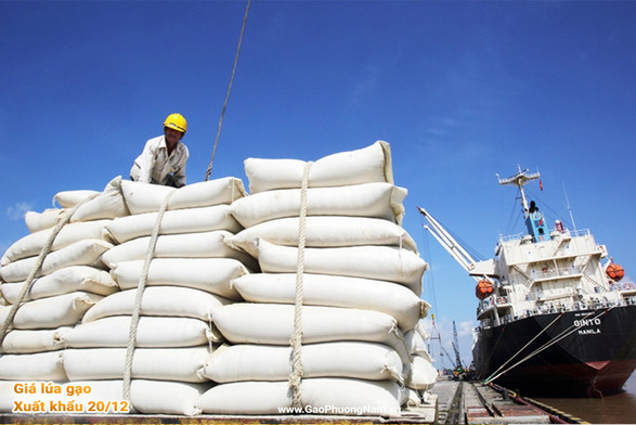 Giá lúa gạo hôm nay ngày 20/12/2023: Giá gạo thường giảm từ 500 - 1.000 đồng/kg
; Mở một tab mới
Theo thông tin mới nhất từ Bộ Công Thương, giá lúa gạo hôm nay ngày 20/12/2023 tại khu vực Đồng bằng sông Cửu Long duy trì ổn định. Trong khi đó, giá gạo chợ quay đầu giảm từ 500 - 1.000 đồng/kg

https://gaophuongnam.vn/gia-lua-gao-hom-nay-ngay-20122023-gia-gao-thuong-giam-tu-500-1000-dongkg
https://www.pinterest.com/pin/835628905884970896/
https://www.pinterest.com/Gaophuongnam/gia-lua-gao-hom-nay/
#gialuagaohomnay
#gialuahomnay
#giagaohomnay
#gaophuongnam
#gạost25 
#gaost25  
#gialuagaohomnay