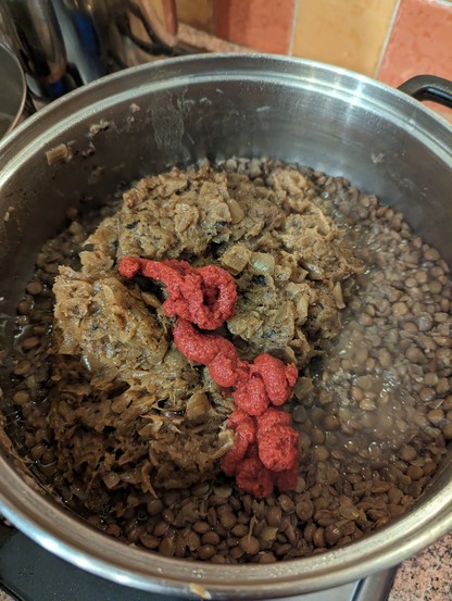 Lentils and onion in a pan with a tube of tomato puree. It's a brown mass with a streak of red