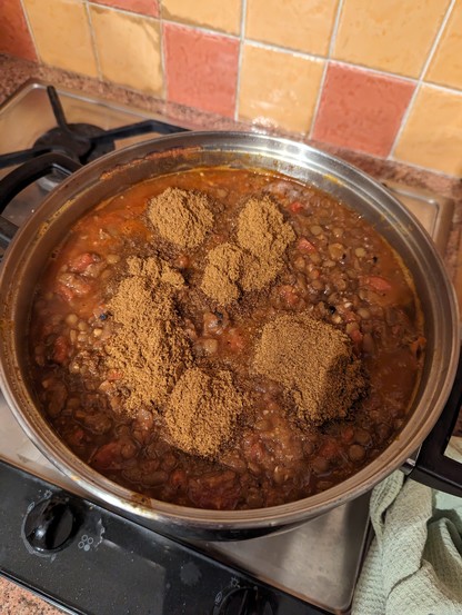 Lots of spice added to the oniony garlicy tomatoey lentils. 