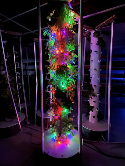 Holiday lights on a tower garden.