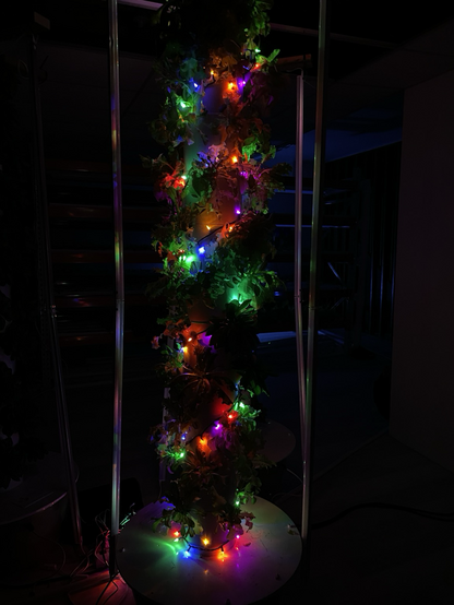 Holiday Lights on our tower garden