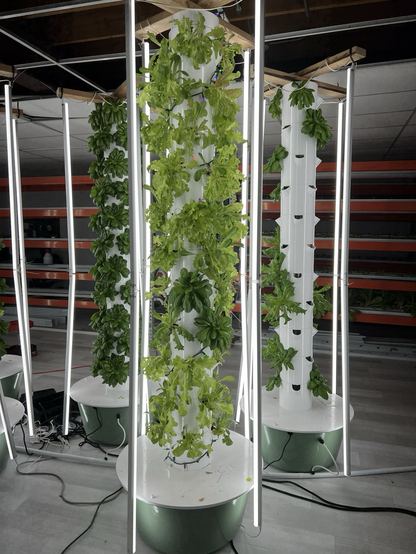 Holiday lights on our tower garden with the grow lights on.