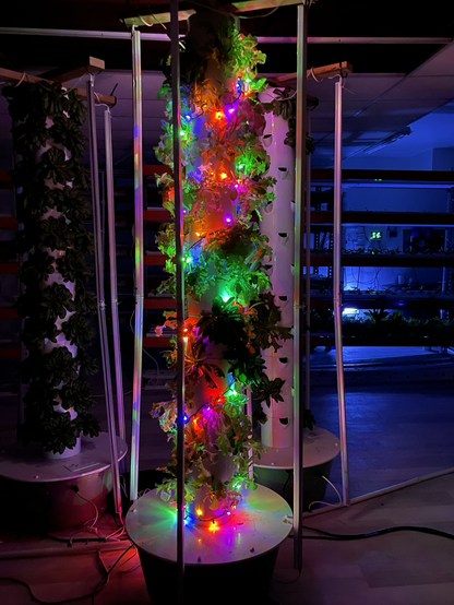 Holiday lights on our tower garden.