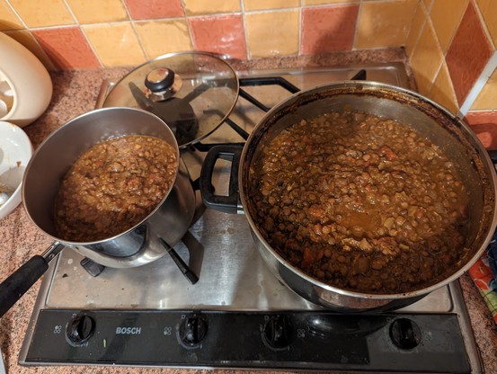 Two steel pans the smaller on the left. They contain the lentil dish I've been cooking in this thread. 