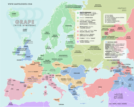 Etymology map of grape