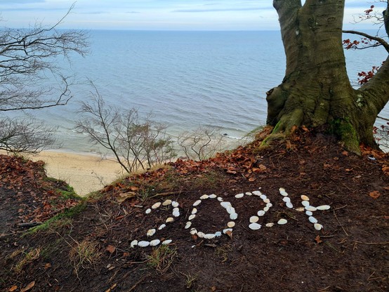 Steilküste an der Ostsee. Im Vordergrund ein aus Muscheln gelegtes 2024 auf Waldboden. Im Hintergrund ein bisschen Strand und Ostsee.